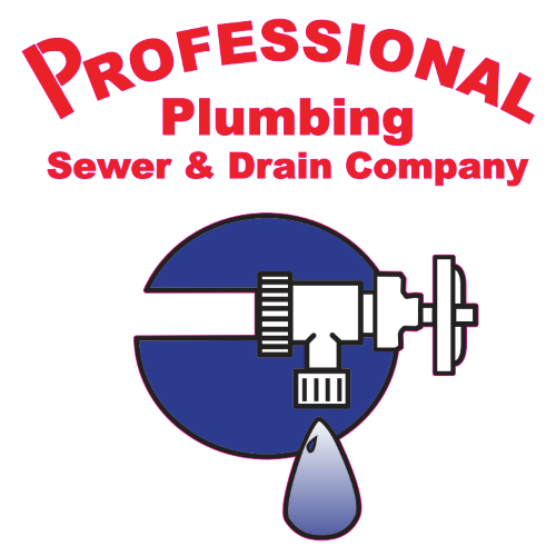 Professional Plumbing Sewer & Drain Co project